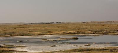 Water in the Bowdoin National Wildlife Refuge